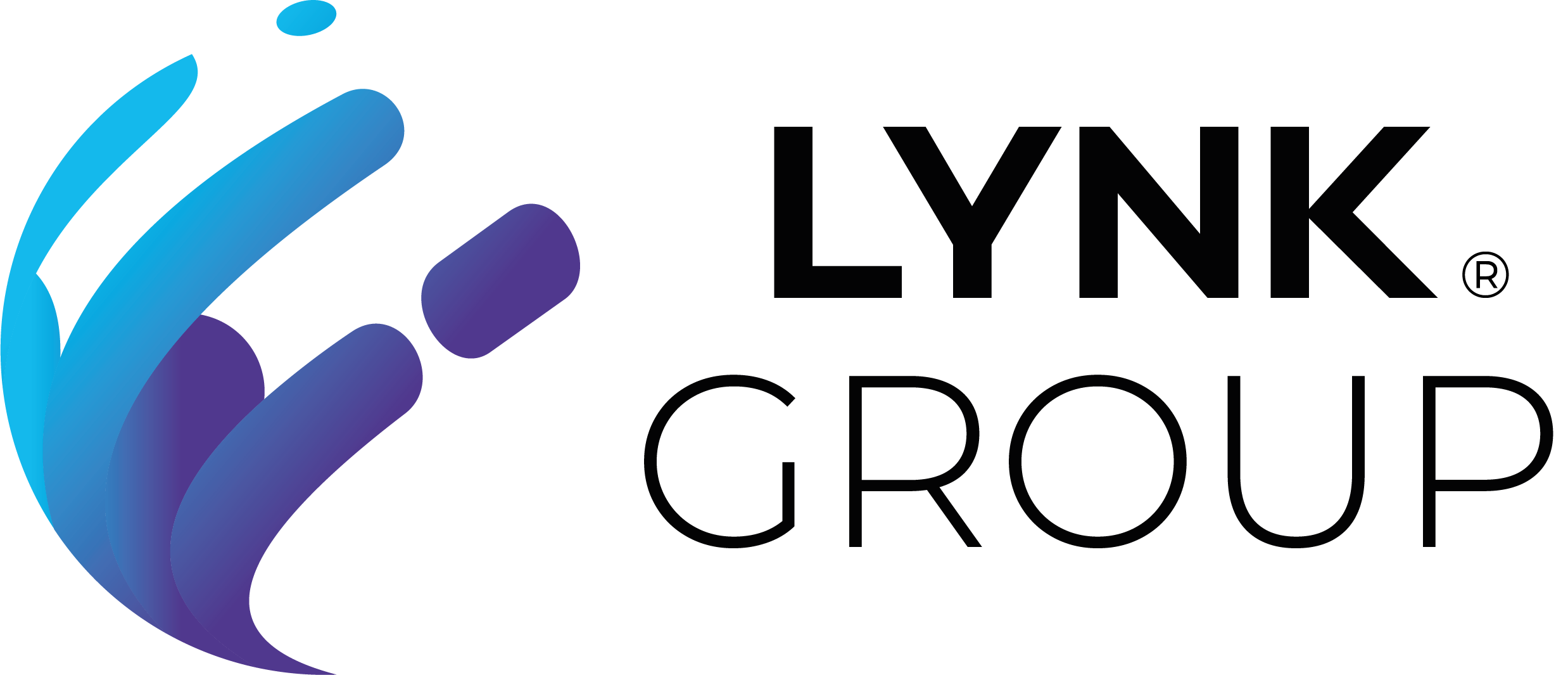 Logo LYNK GROUP