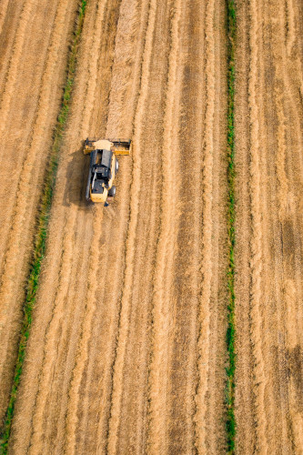 Foto settore agricoltura